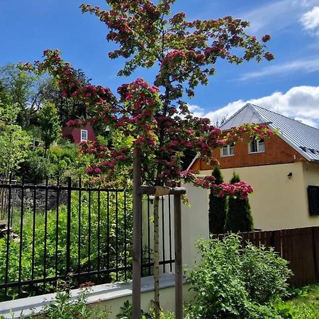Villa Siglisberg Banská Štiavnica Exterior foto