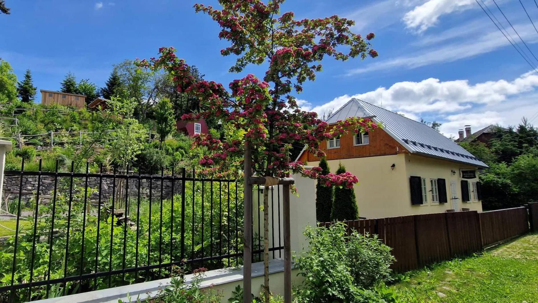 Villa Siglisberg Banská Štiavnica Exterior foto